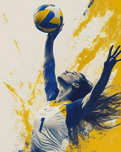 vollyeball